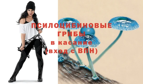 прущие крисы Абаза