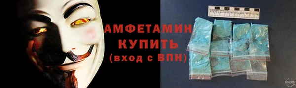 сатива Пересвет