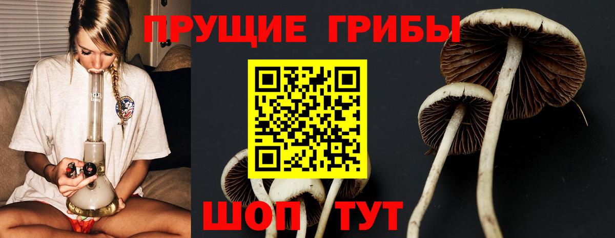 Псилоцибиновые грибы ЛСД  купить наркотики сайты  Новоалександровск  Вход с VPN  Псилоцибиновые грибы Magic Shrooms 